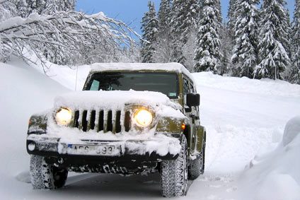 ski resort driver job